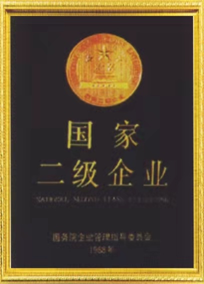 國家二(èr)級企業